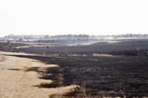 Grass fire burns near south Huron