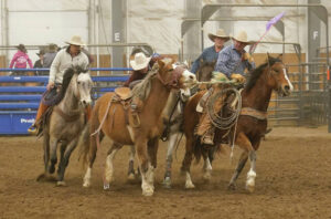 Reeves leads saddle bronc riding school at DEX