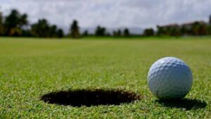Miller golfers win titles in 5B tournaments