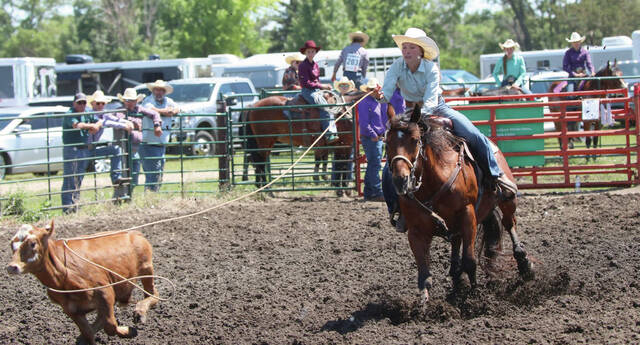Photo courtesy Joel Bergeson