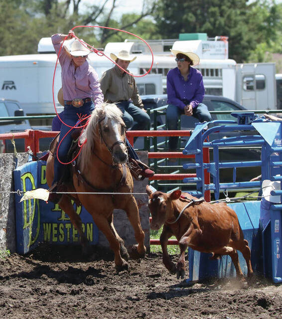 Photo courtesy Joel Bergeson