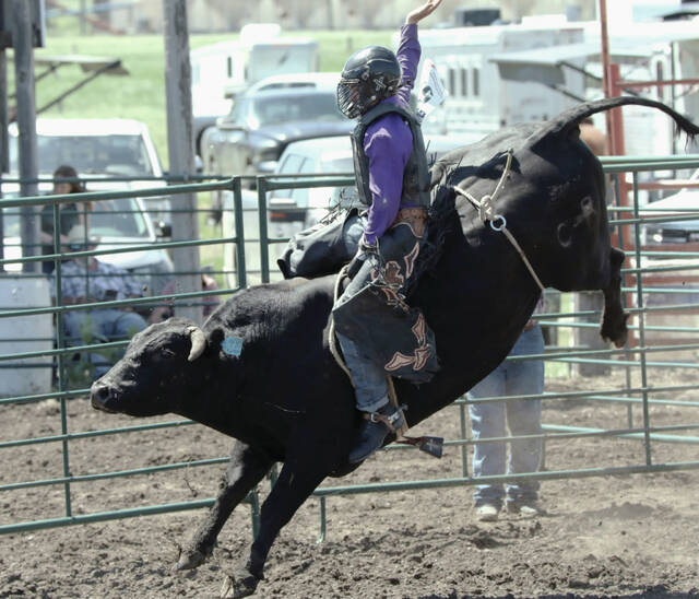 Photo courtesy Joel Bergeson